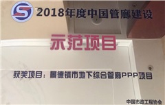 景德鎮(zhèn)市地下綜合管廊榮獲2018年度中國管廊建設(shè)示范項目